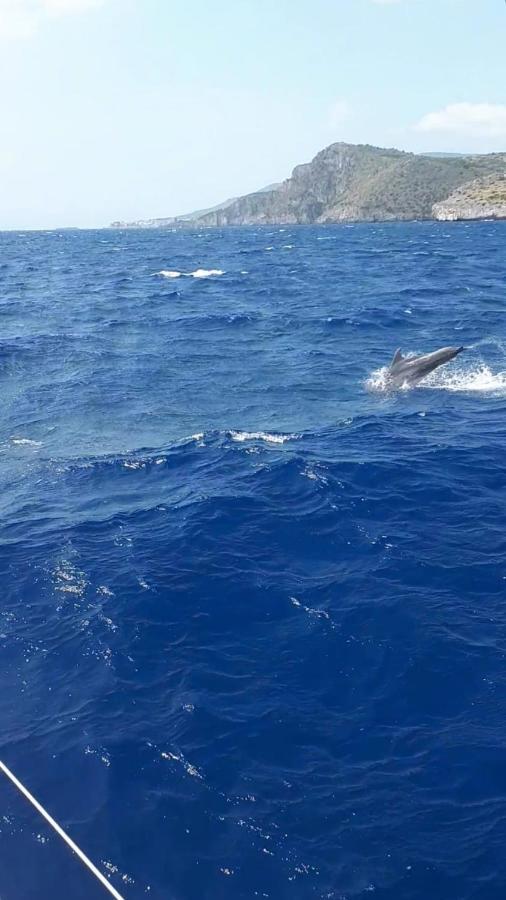B&B L'Ulivo Marina di Camerota Exteriér fotografie